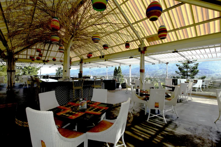 Compare Safari Hotel Dining Packages: The 2026 Strategic Reference